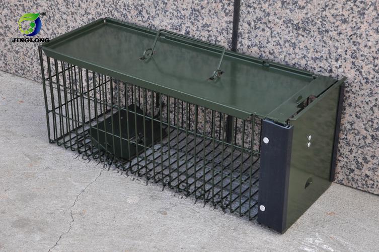 捕鼠笼与环保灭鼠 景隆产品中心捕鼠器综合指南