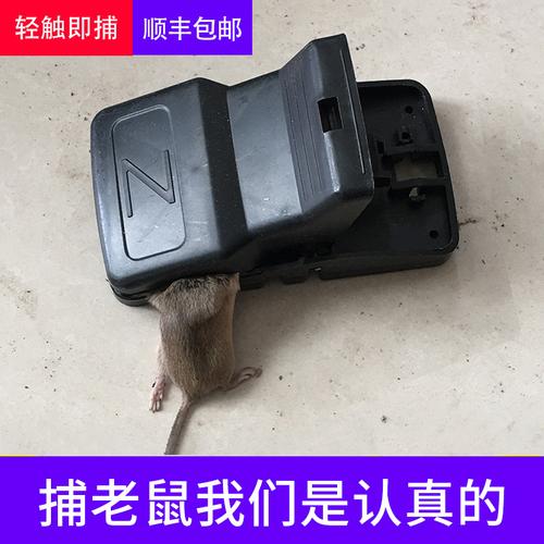 批发塑料老鼠夹，灭鼠神器赋能高效捕鼠新体验